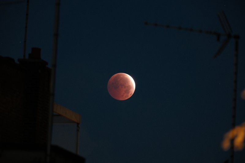 august lunar eclipse