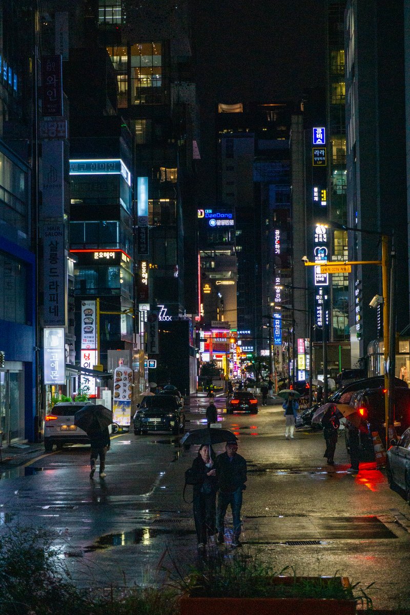 20251013-DSC07464