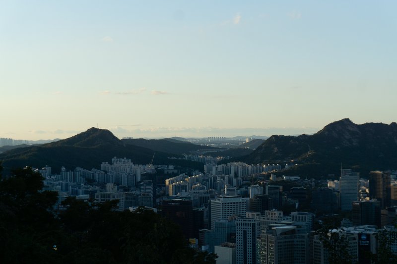 20251016-DSC09204