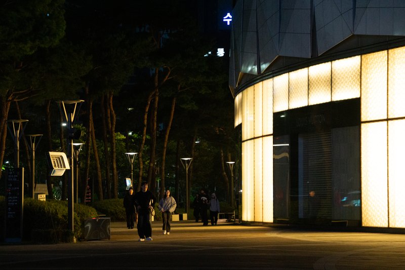 20251019-DSC00543